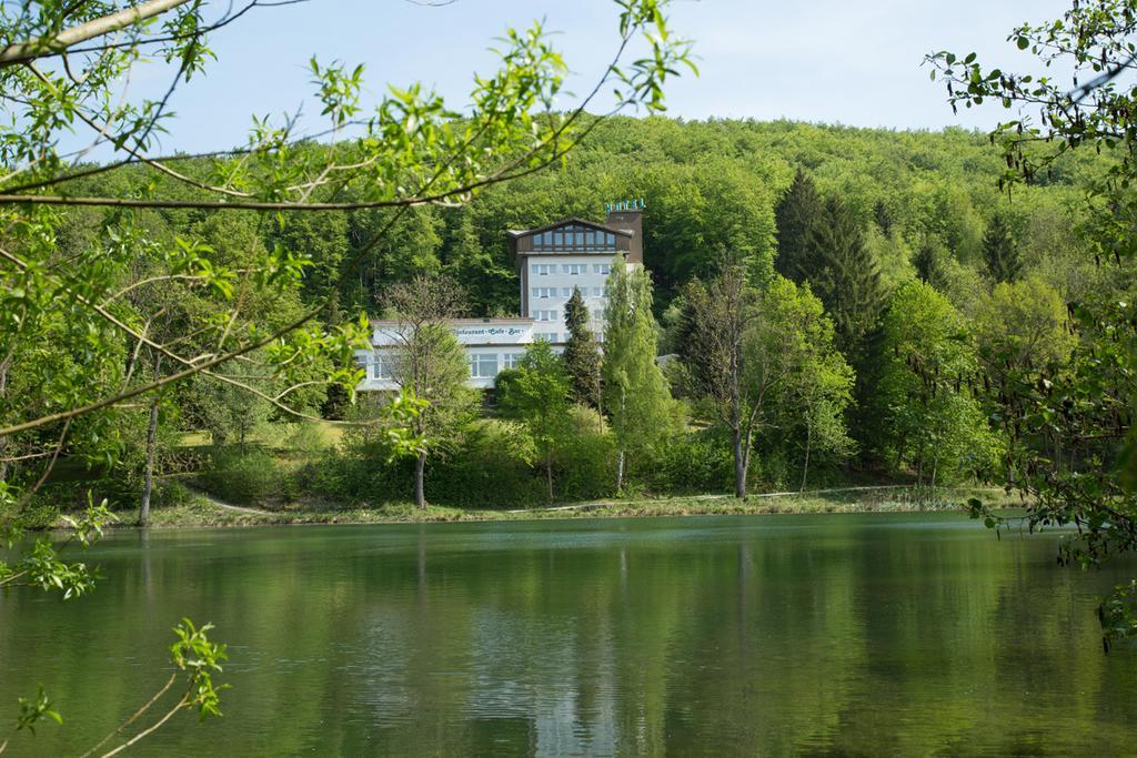 Hotel Reifenstein Kleinbartloff Luaran gambar